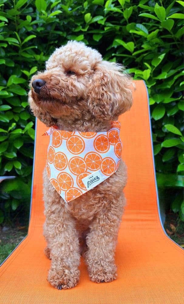 Fresh Slice Dog Bandana