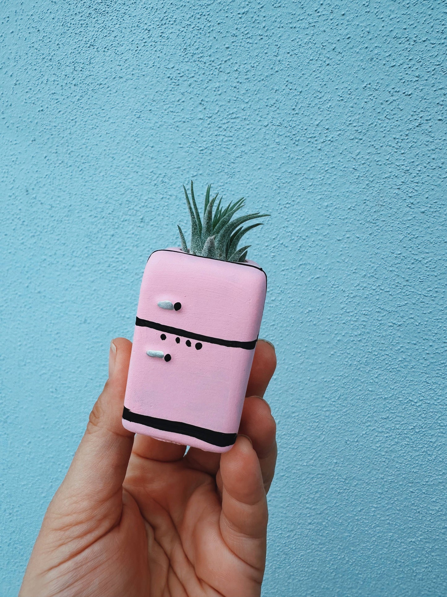 Retro Fridge Mini Planter with Air Plant