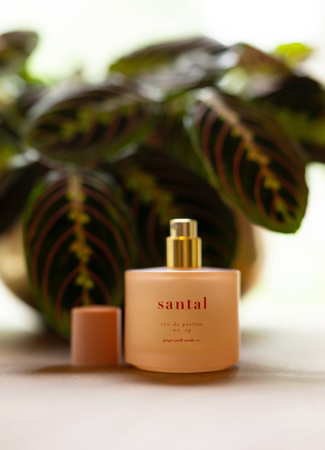 Organic alcohol eau de parfum • 17 scents • non toxic: No. 24 • ENDLESS SUMMER