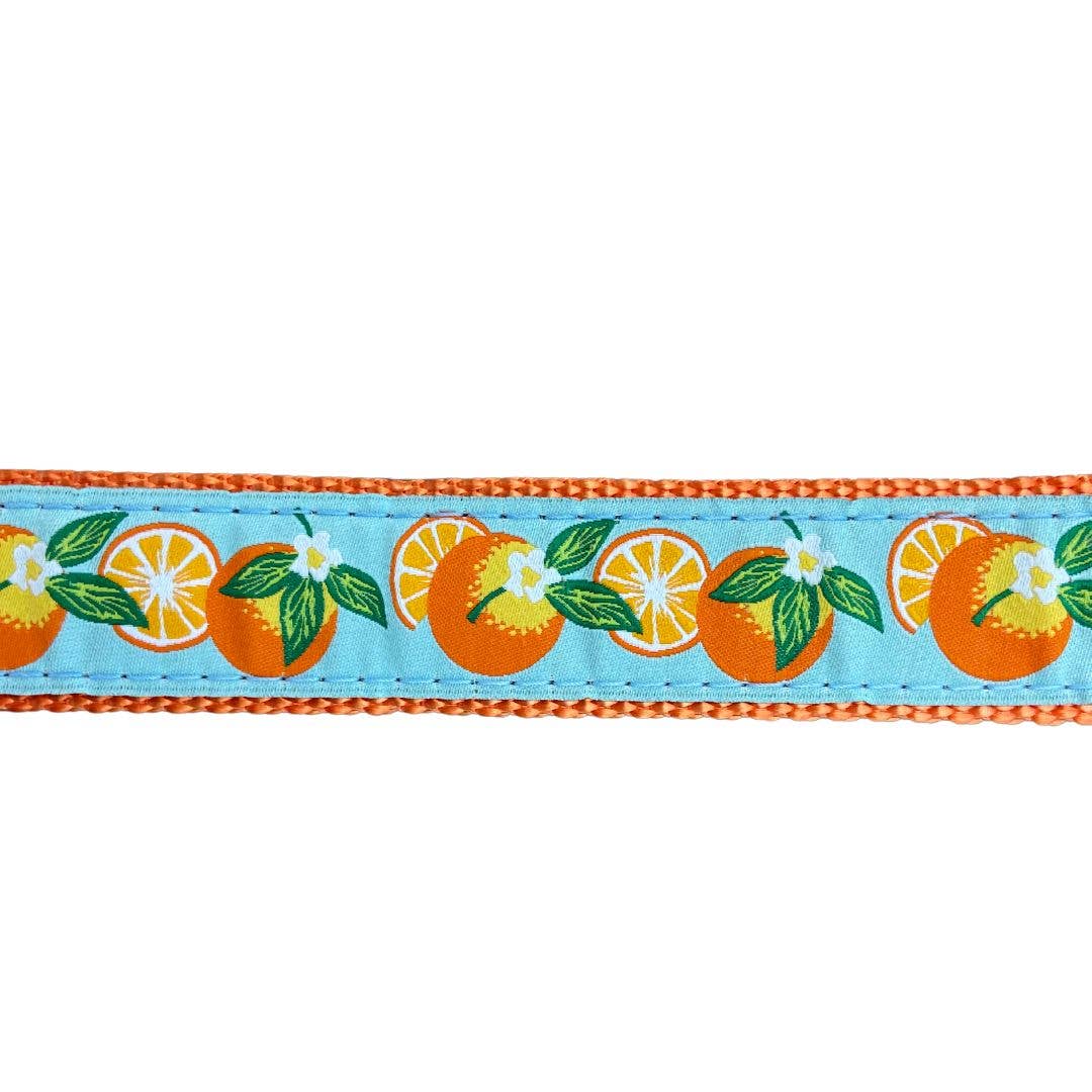 Oranges #589: 3/4 Extra Small