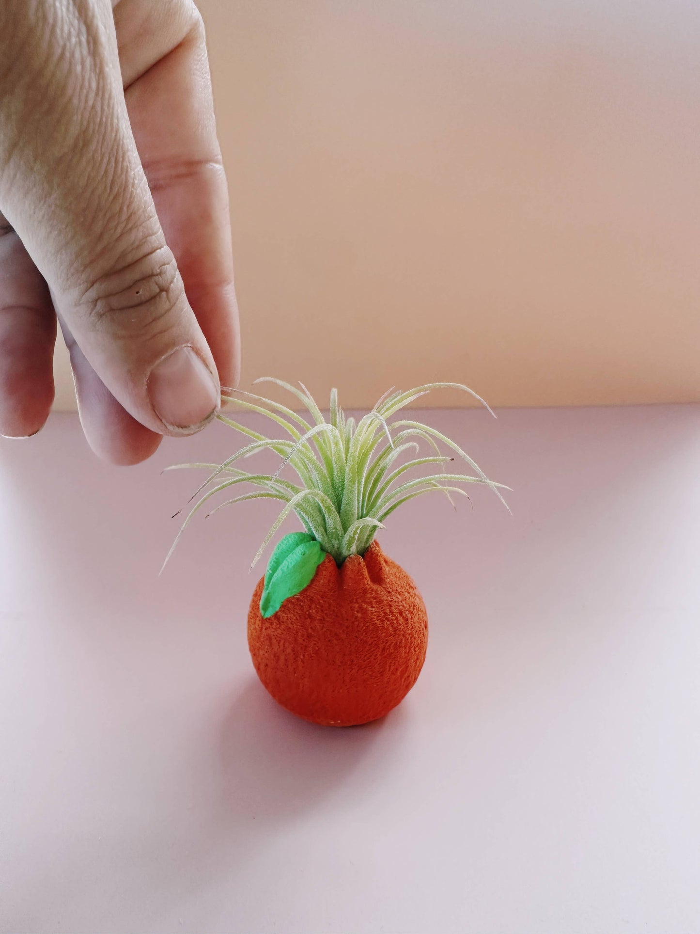 Orange Mini Planter with Air Plant