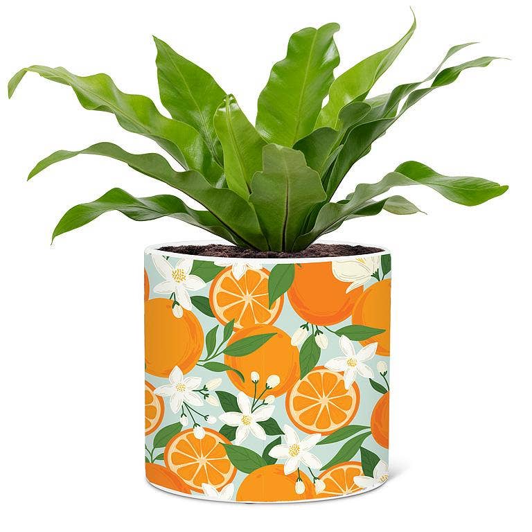Large Oranges & Blossoms Planter-6.5"D
