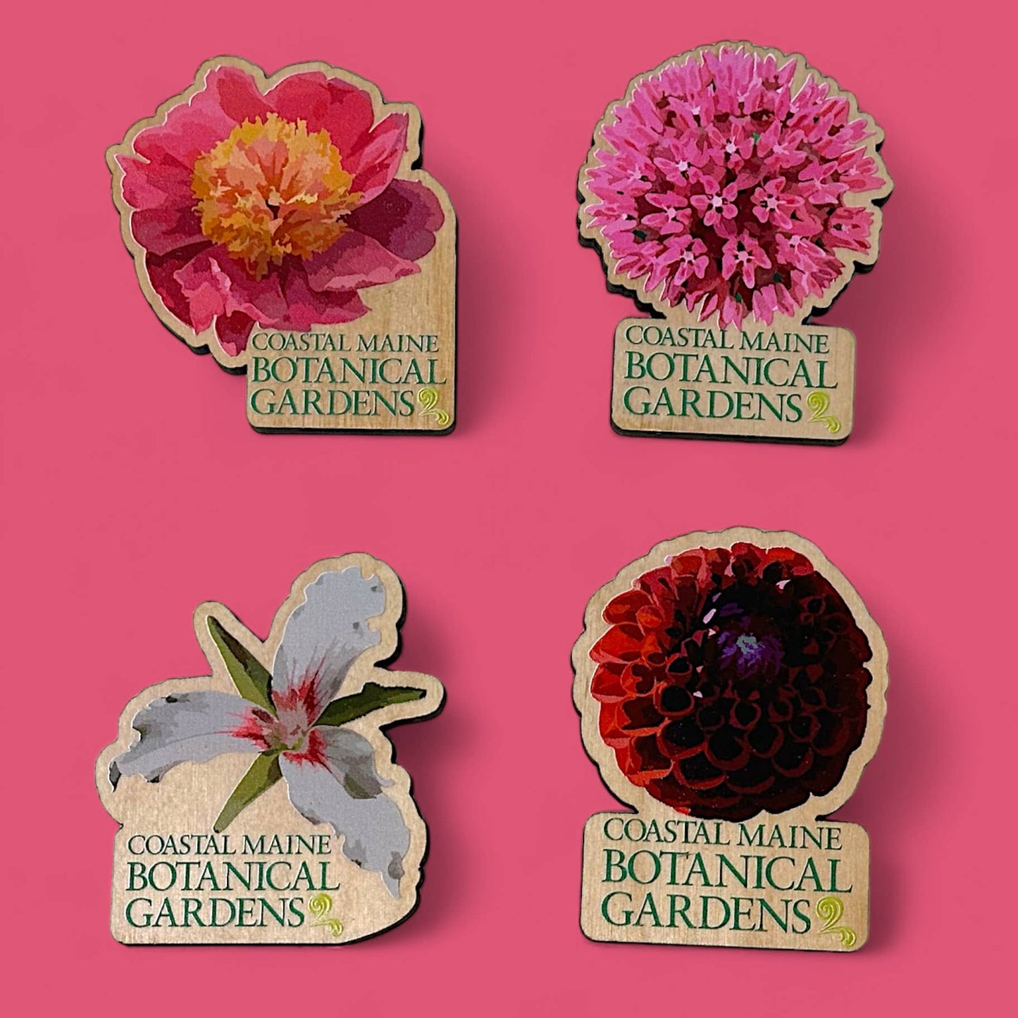 Die Cut Wooden Magnets - Custom