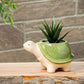 Sm Turtle Planter-Grn-3.5"H