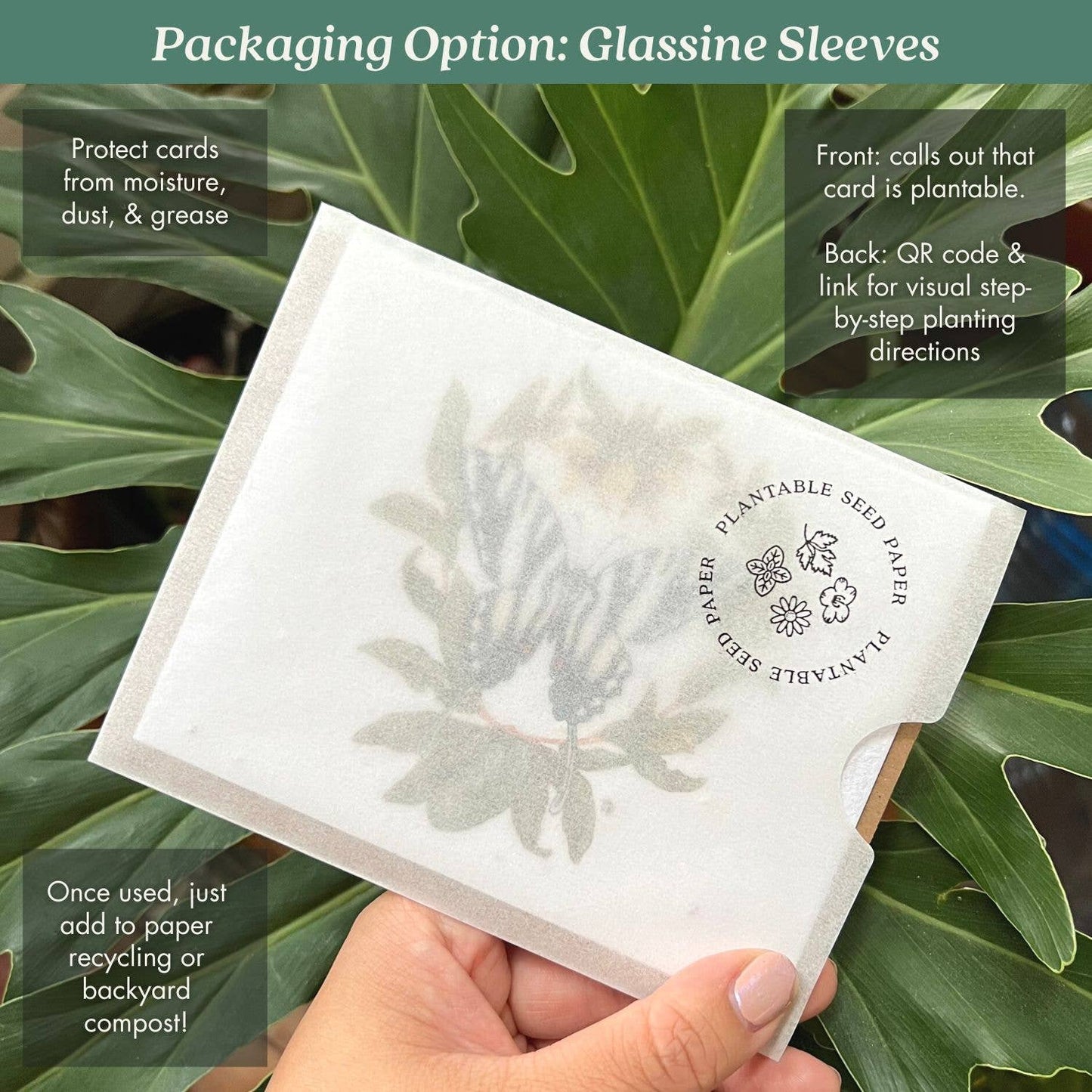 Calendula Plantable Wildflower Seed Card