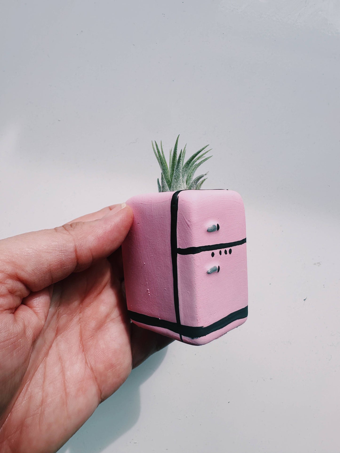 Retro Fridge Mini Planter with Air Plant