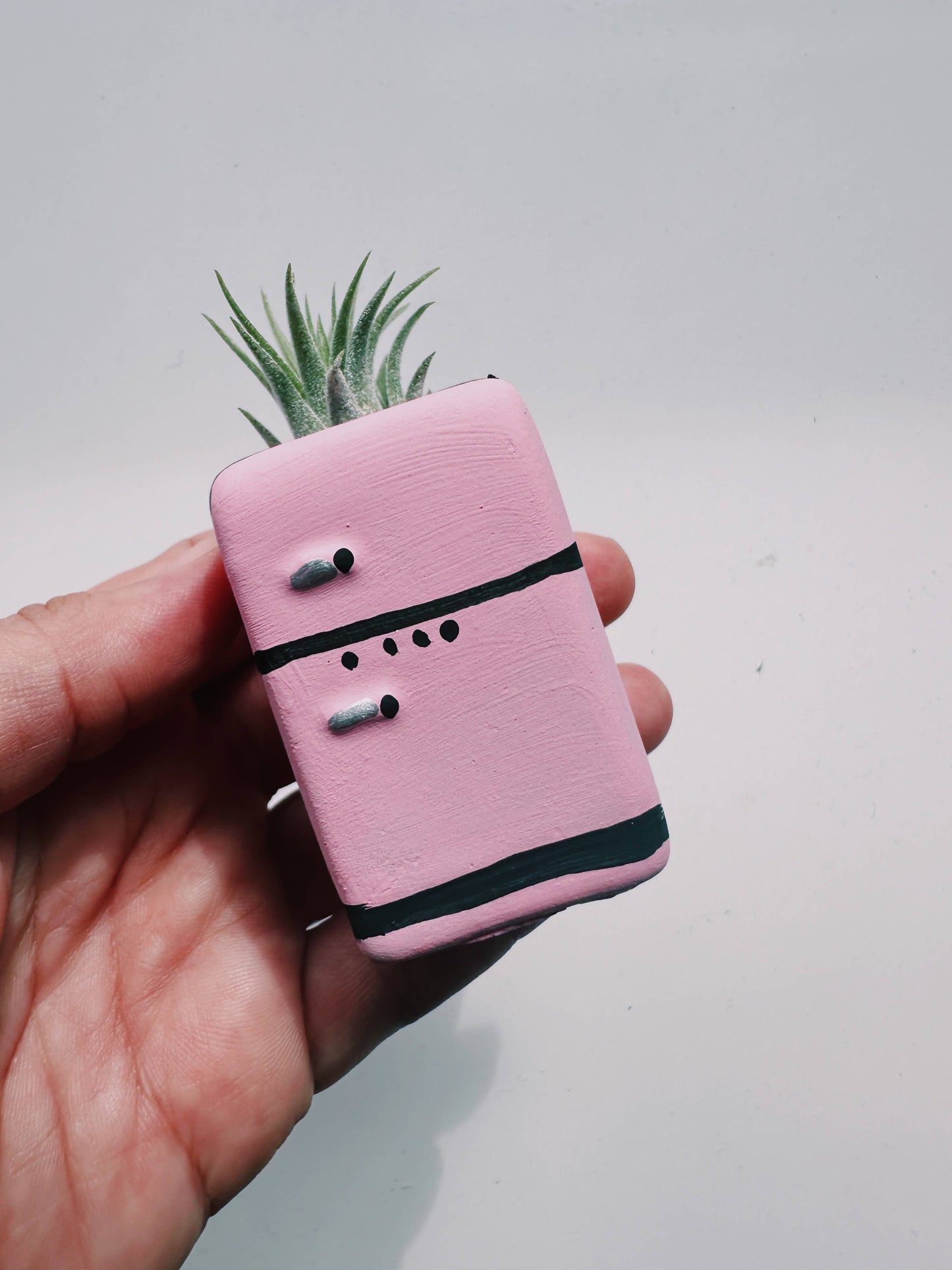 Retro Fridge Mini Planter with Air Plant