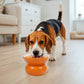 Orange Shaped Stoneware Elevated Pet Bowl
