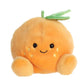 Tangie Orange Stuffed Animal