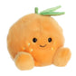 Tangie Orange Stuffed Animal