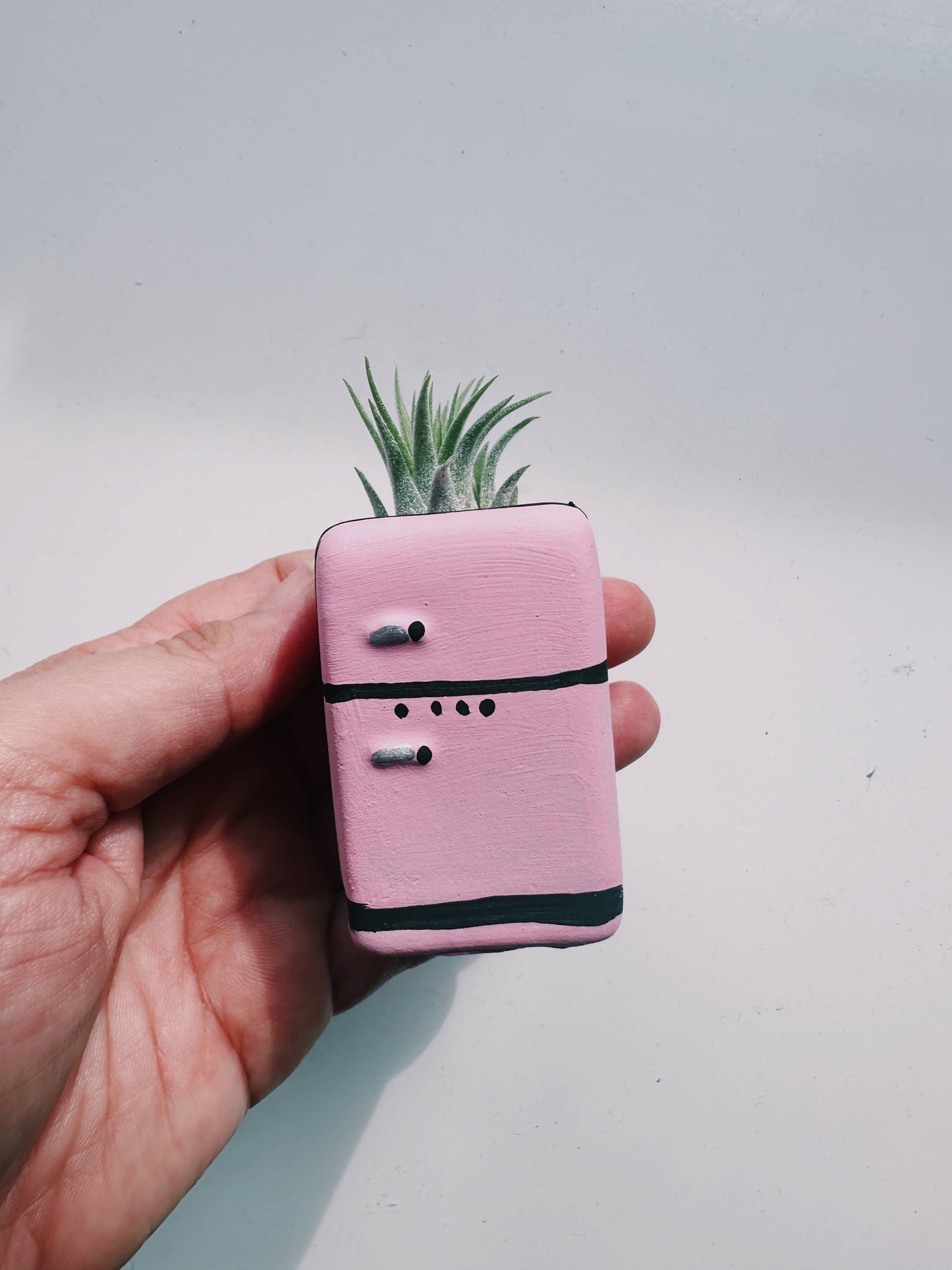 Retro Fridge Mini Planter with Air Plant