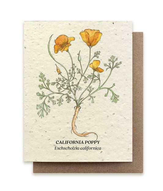 California Poppy Plantable Wildflower Seed Card