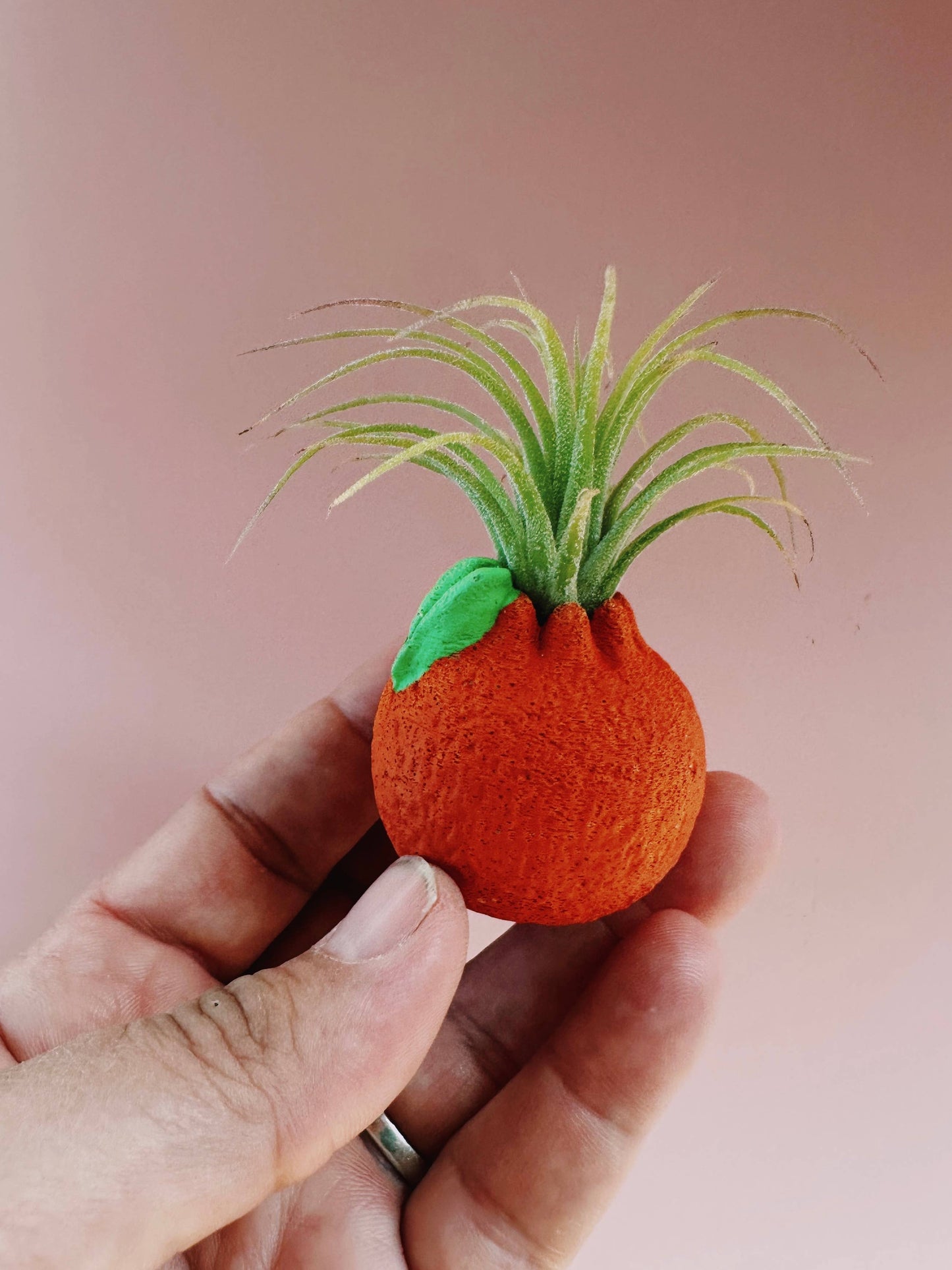Orange Mini Planter with Air Plant