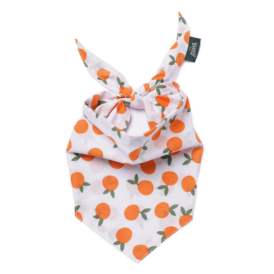Clementine Dog Bandana