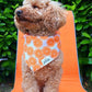 Fresh Slice Dog Bandana