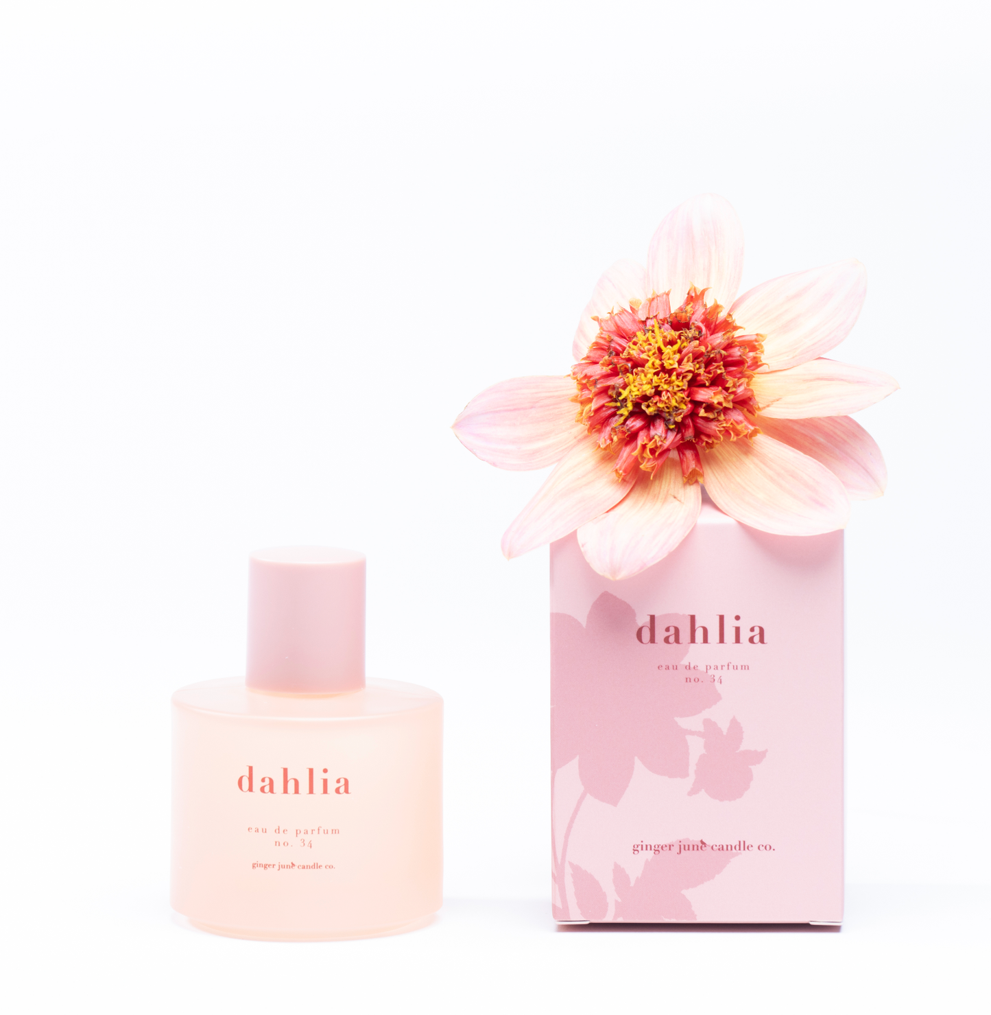No. 34 dahlia • clean perfume