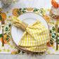 Orange Grove Reversible Placemat Set