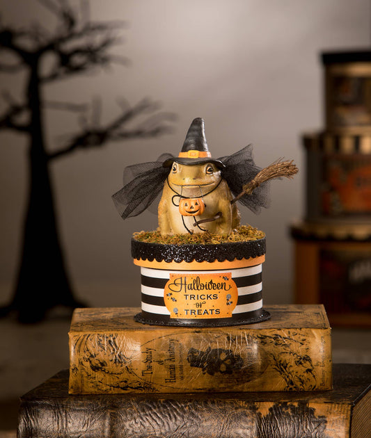 Witchy Toad on Box