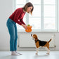 Orange Shaped Stoneware Elevated Pet Bowl