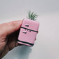 Retro Fridge Mini Planter with Air Plant