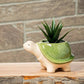 Sm Turtle Planter-Grn-3.5"H