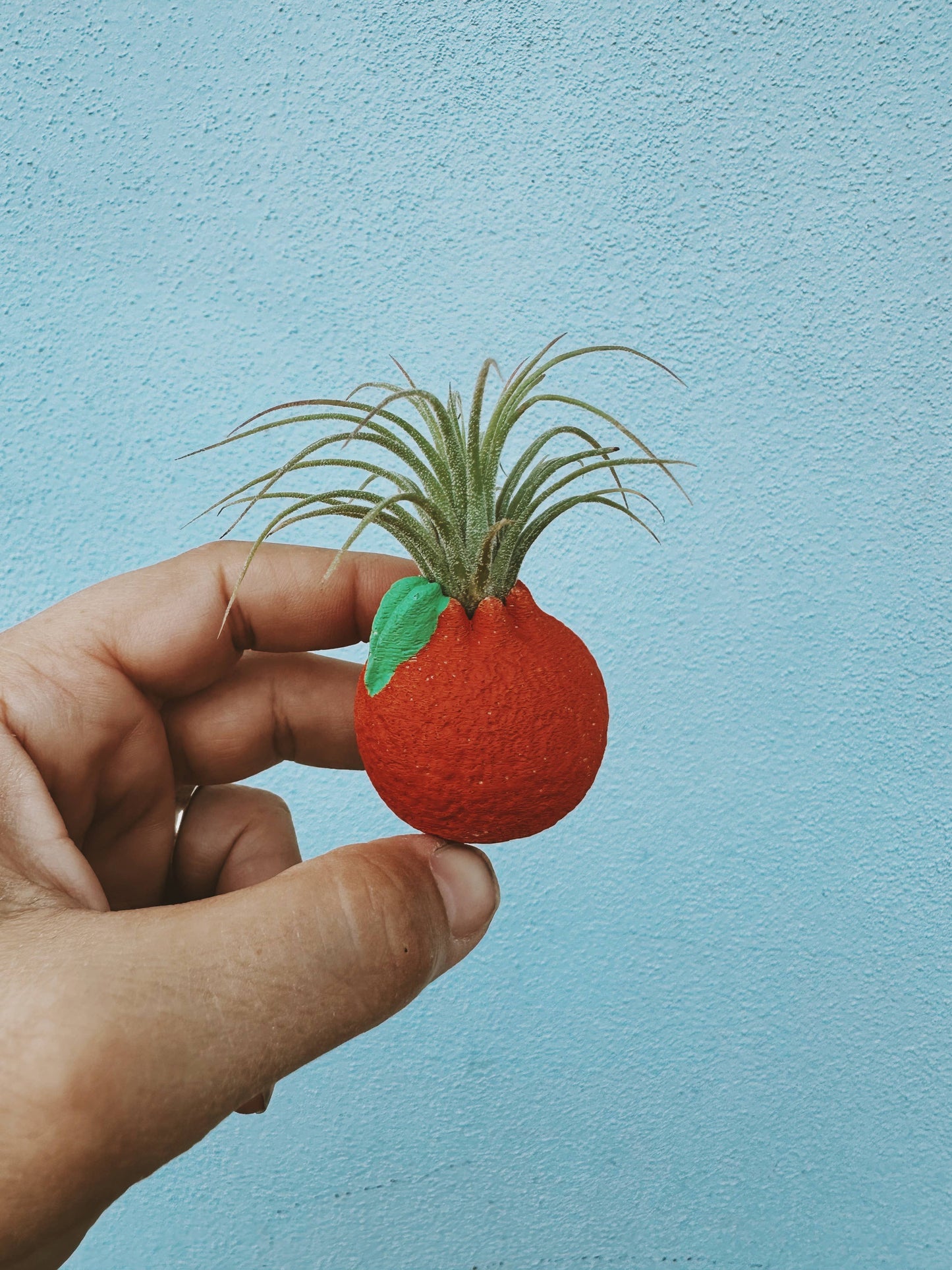 Orange Mini Planter with Air Plant