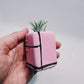 Retro Fridge Mini Planter with Air Plant