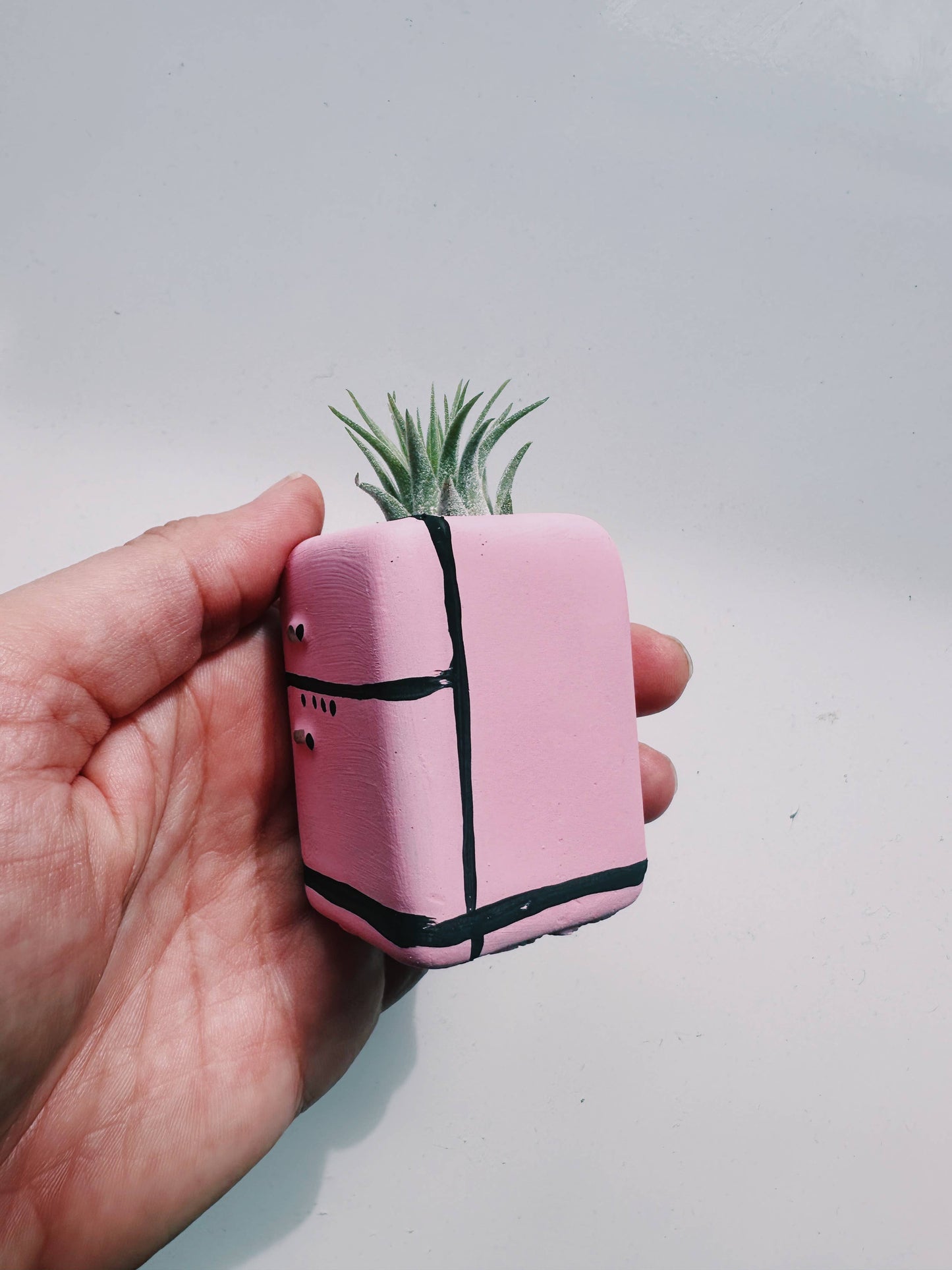 Retro Fridge Mini Planter with Air Plant