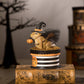 Witchy Toad on Box