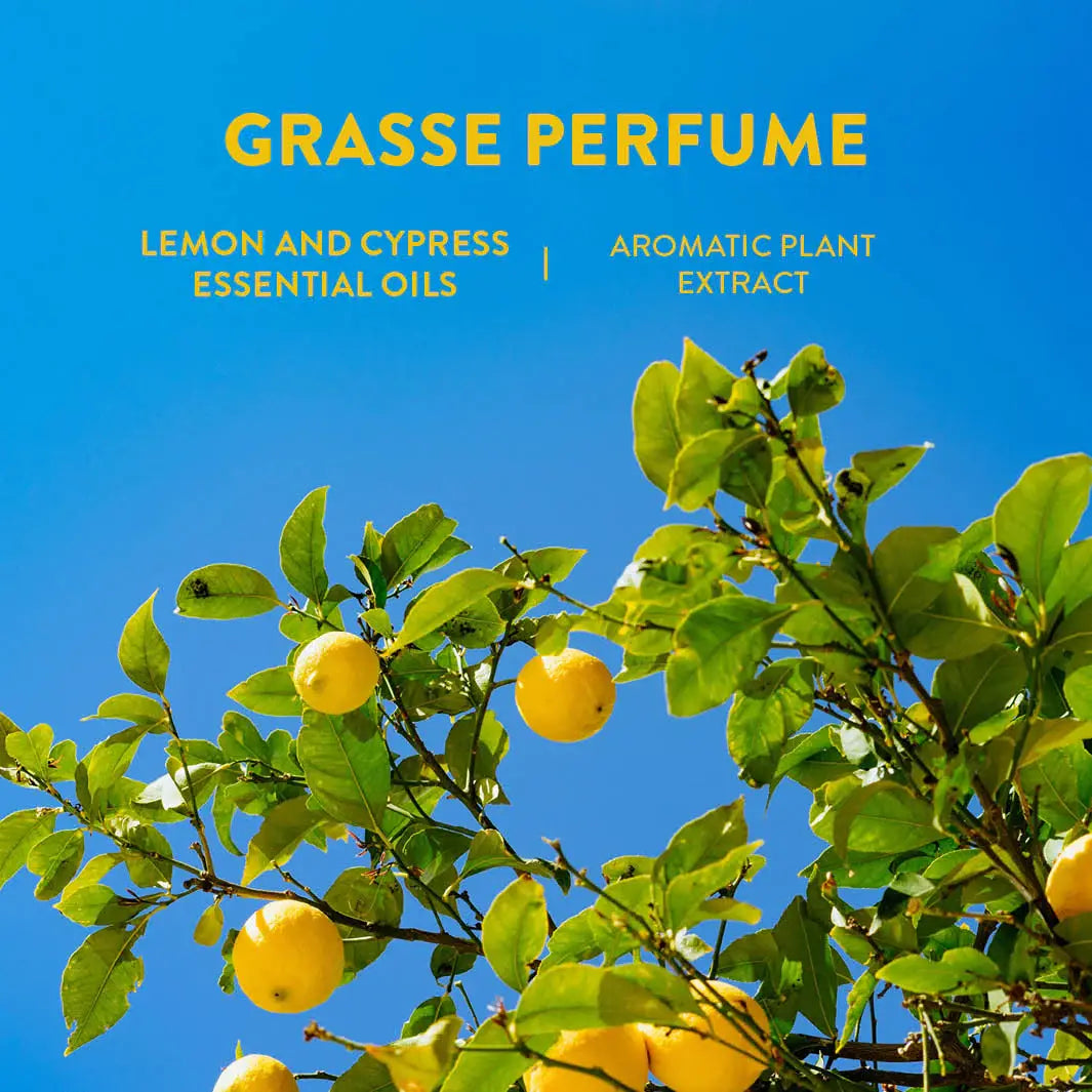Provence Eau de Toilette Roll-On