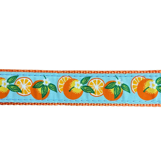 Oranges  #589: 3/4 Medium Collar