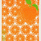 Orange Slices Swedish Cloth