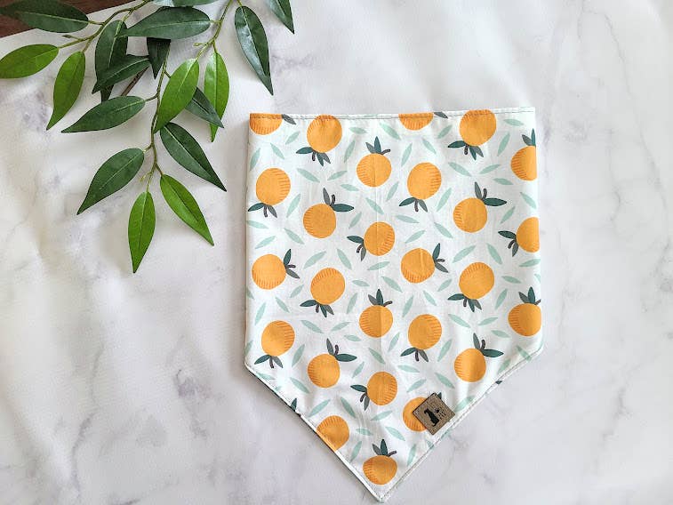 Orange You Glad Tie-On Dog Bandana