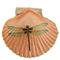 Shell Shaped Flora & Fauna Magnets