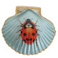 Shell Shaped Flora & Fauna Magnets