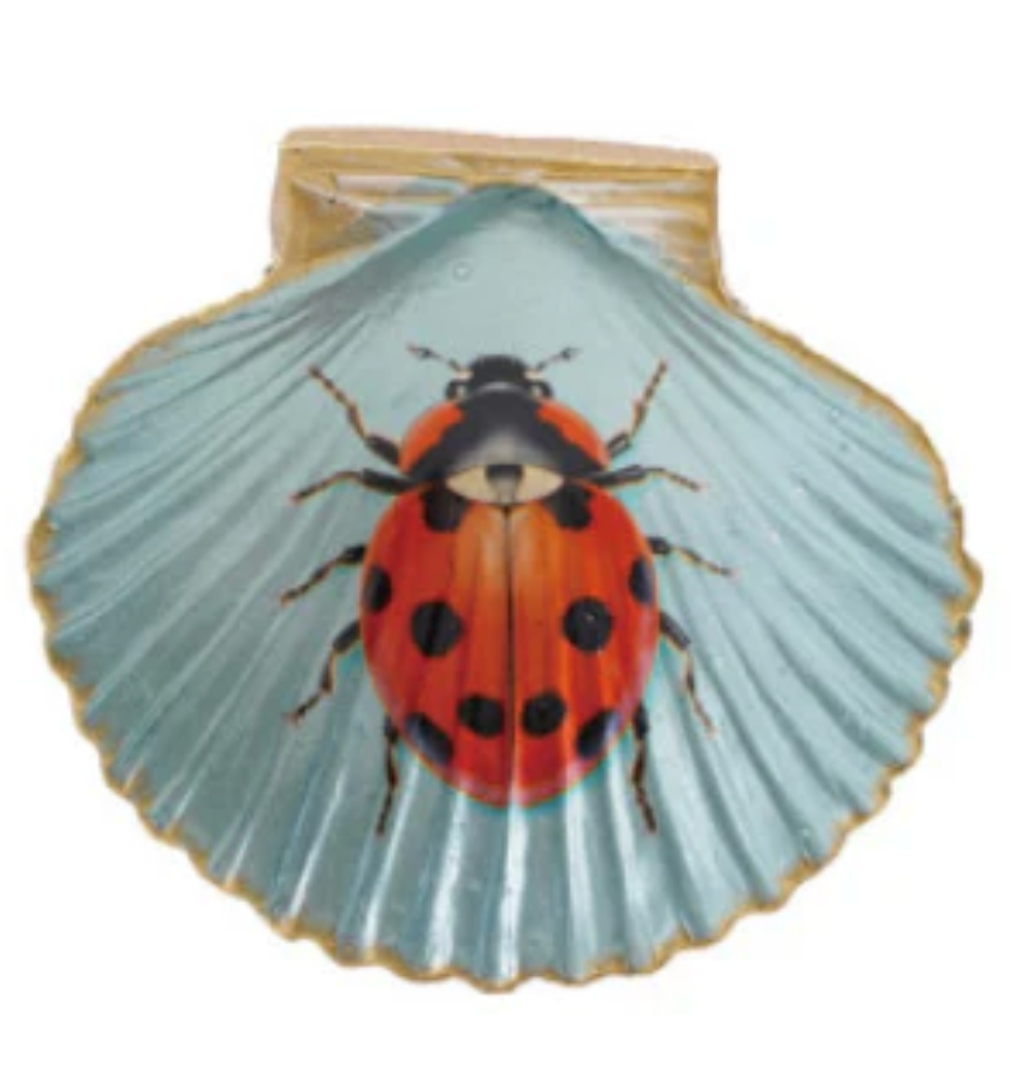 Shell Shaped Flora & Fauna Magnets
