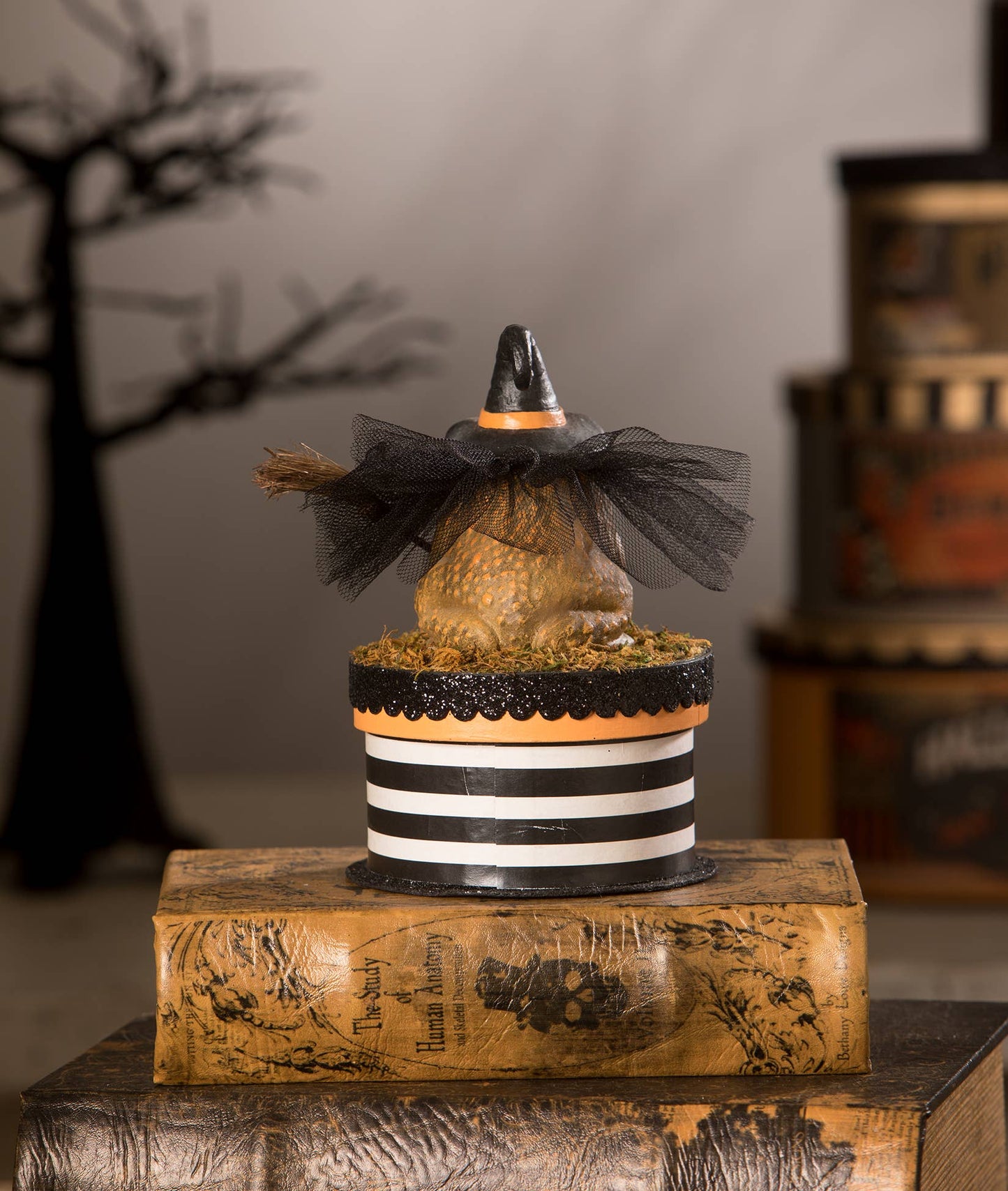 Witchy Toad on Box