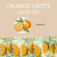 Orange Grove Vegan Handmade Soap Bar - 4oz