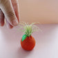 Orange Mini Planter with Air Plant
