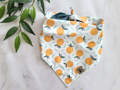 Orange You Glad Tie-On Dog Bandana