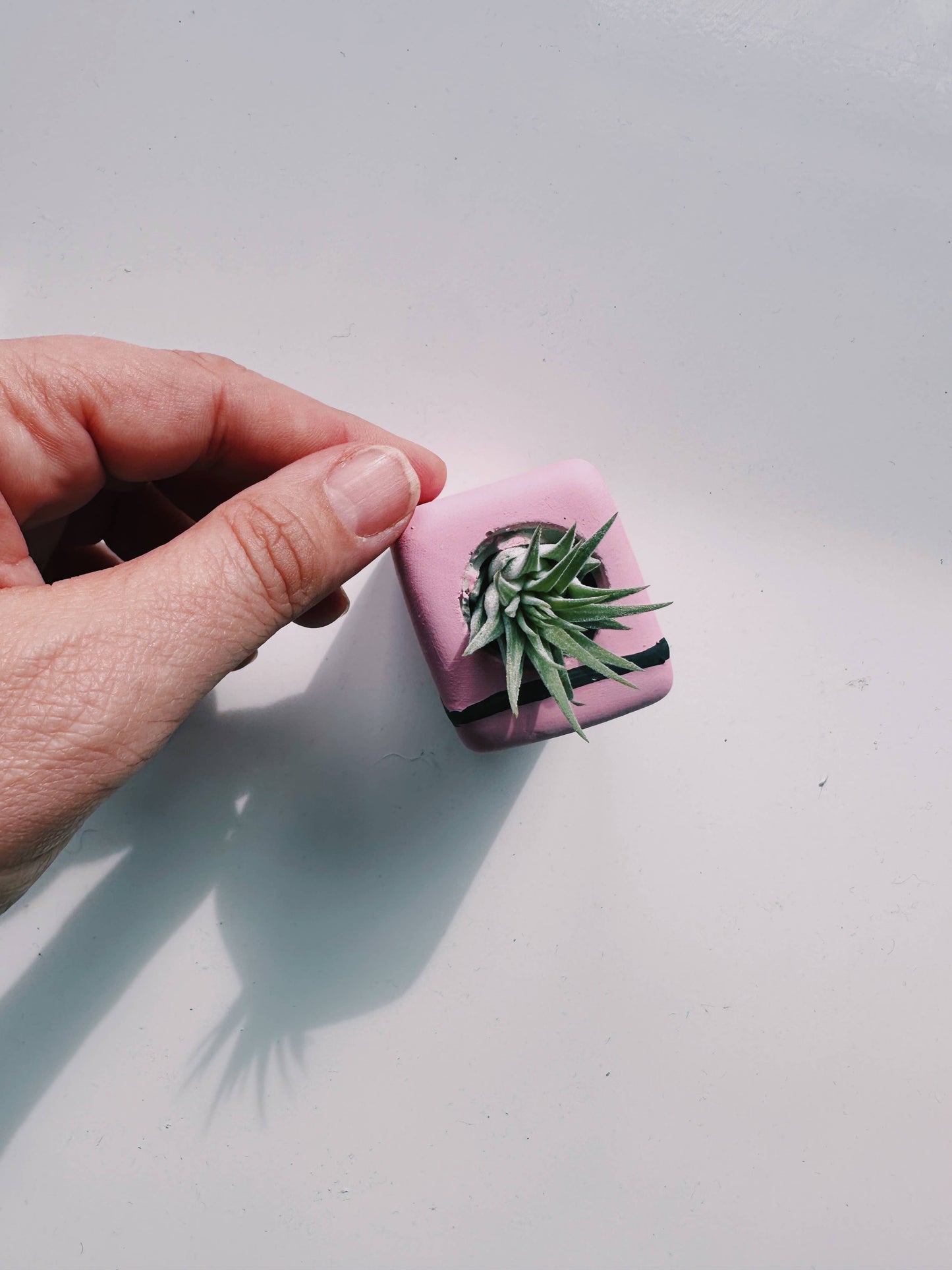 Retro Fridge Mini Planter with Air Plant