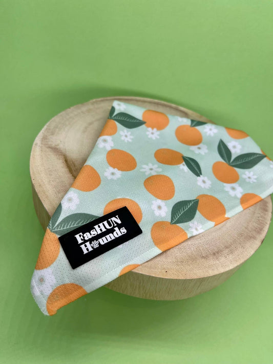 Oranges & BlossHUNS Bandana