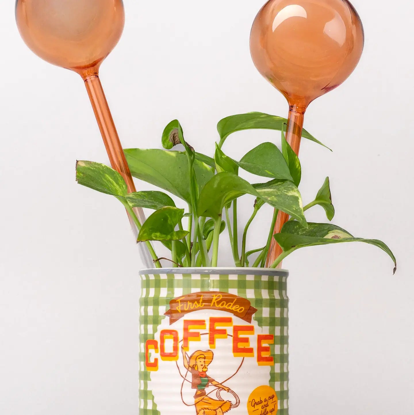 Water Globe - Peach
