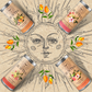 SUN TEA Apricot Peach Green Tea-12 Tea Sachets - Tall Tin