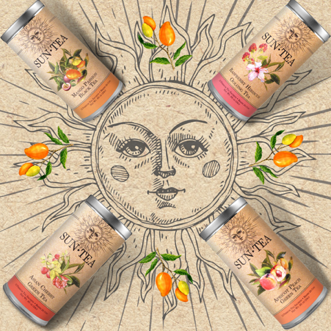 SUN TEA Apricot Peach Green Tea-12 Tea Sachets - Tall Tin