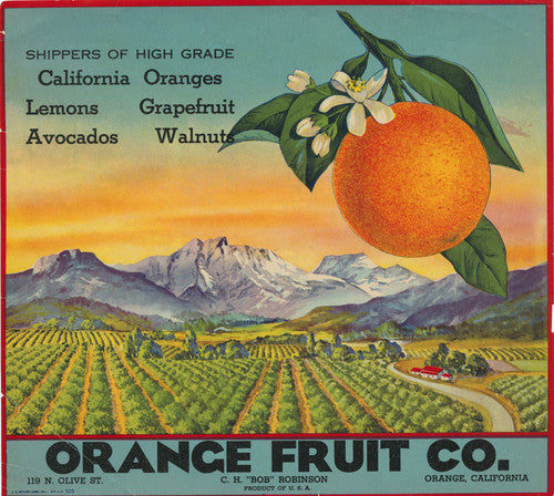 Orange Fields Magnet
