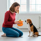 Orange Shaped Stoneware Elevated Pet Bowl