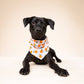 Clementine Dog Bandana