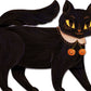 One Black Cat by Robie Rogge