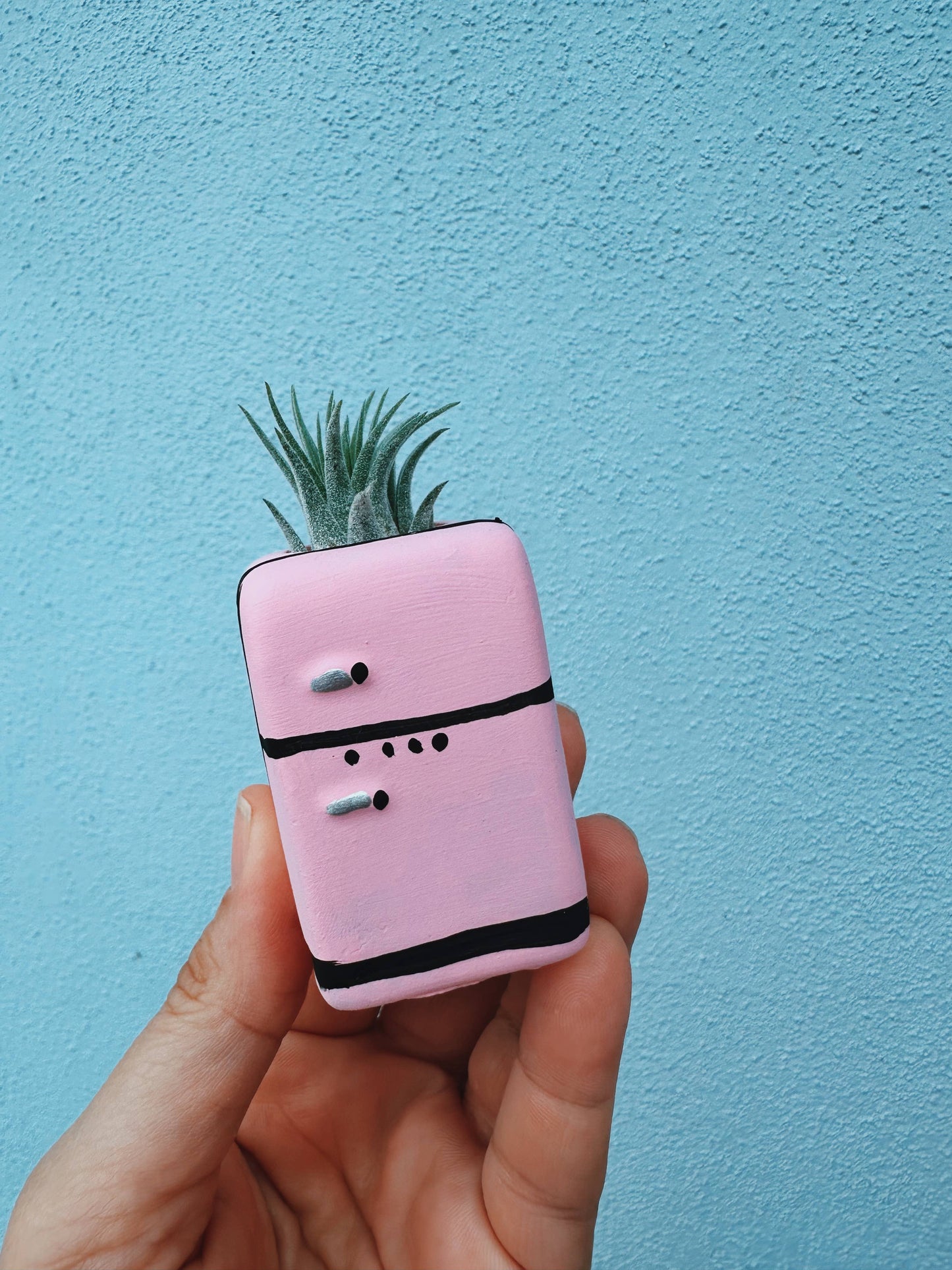 Retro Fridge Mini Planter with Air Plant